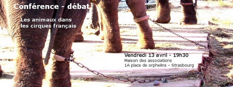 Affiche Confrence-dbat sur la prsence des animaux dans les cirques franais le 13/04/2018  la MDAS